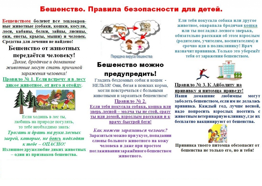 памятка для детей.jpg